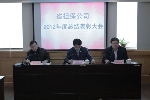 公司召开2012年度总结表彰会议