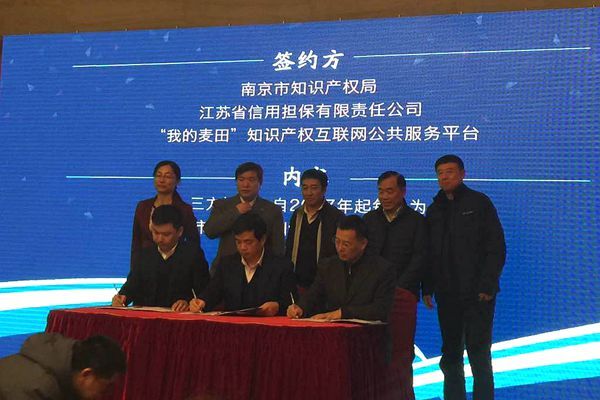 公司与南京市知识产权局及中国（南京）软件谷签署战略合(图2)